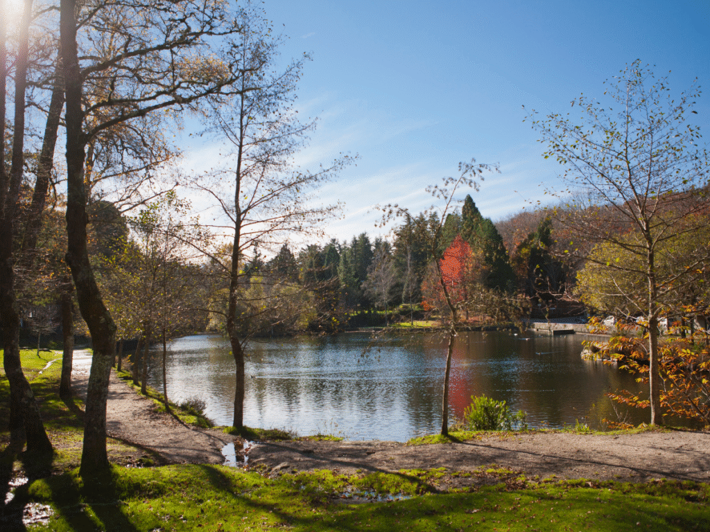 Lago de Castiñeiras